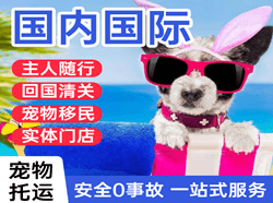 扎兰屯航空快运国际宠物托运 【国